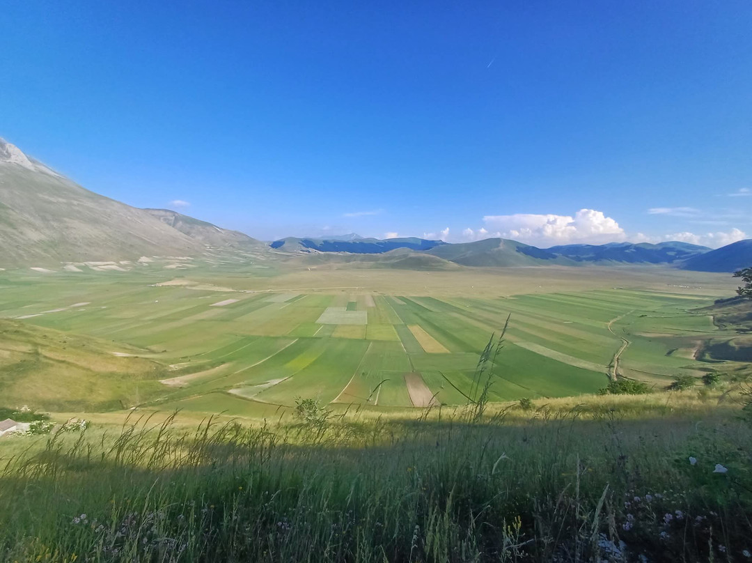 卡斯特鲁奇奥公园-Castelluccio di Norcia必去景点