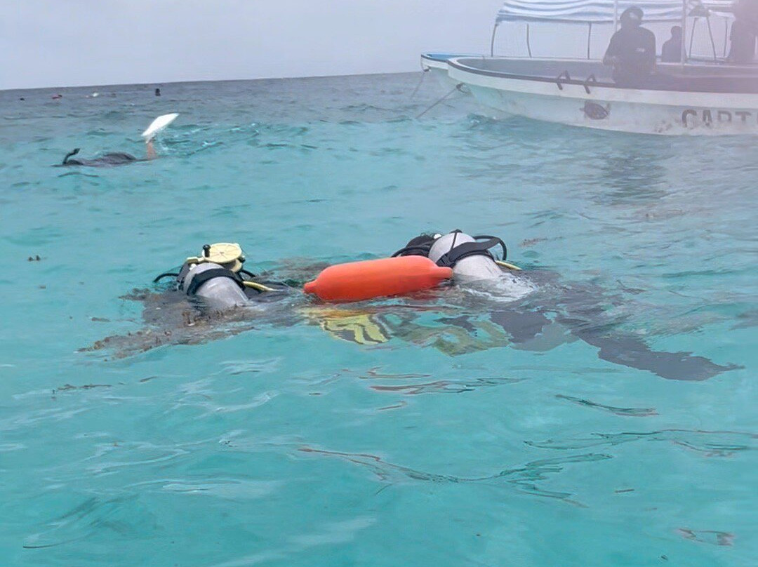 Fun Divers Zanzibar-孥归必去景点