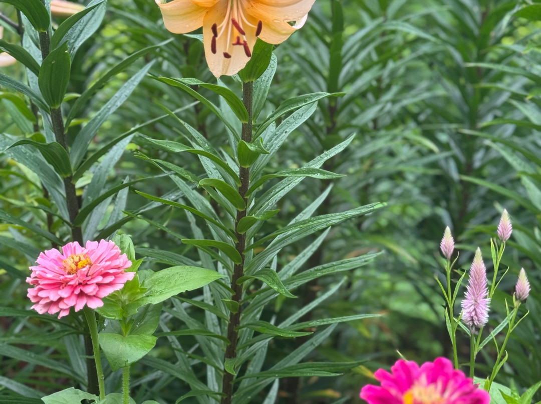 Heritage Museums & Gardens-桑威奇必去景点