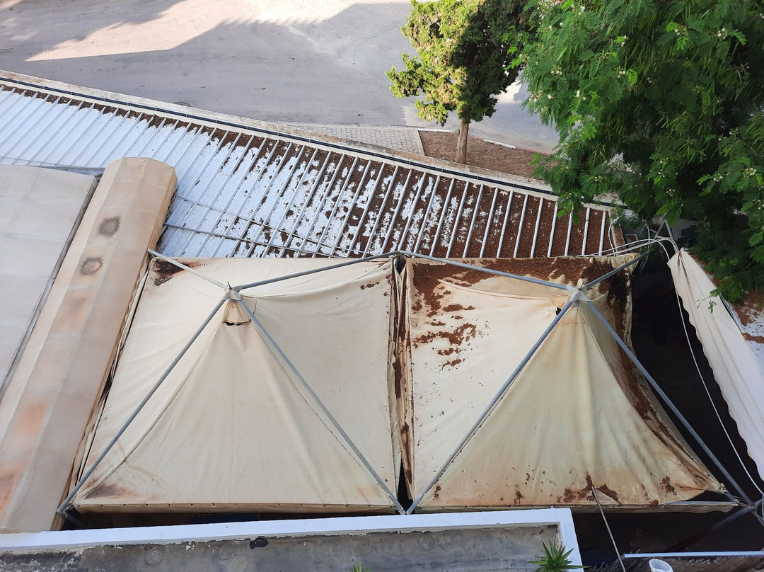 Royal Nozha Hotel主图