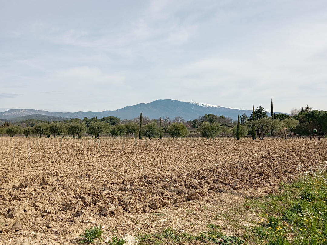 Les Promenades de Fleur-Aubignan必去景点