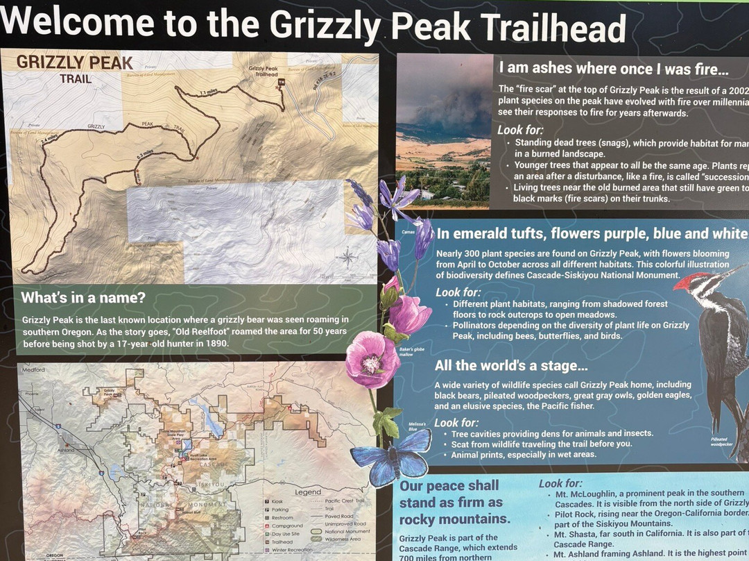 Grizzly Peak Trail-阿什兰必去景点