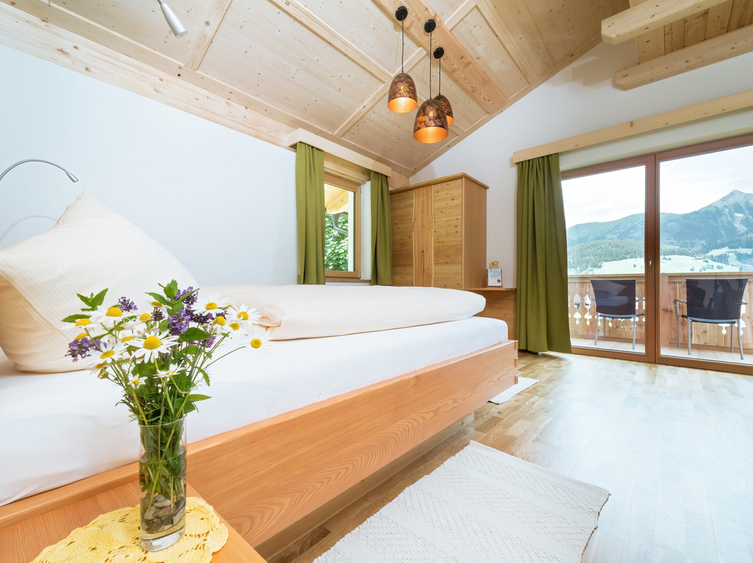 Alpenhotel Wanderniki主图