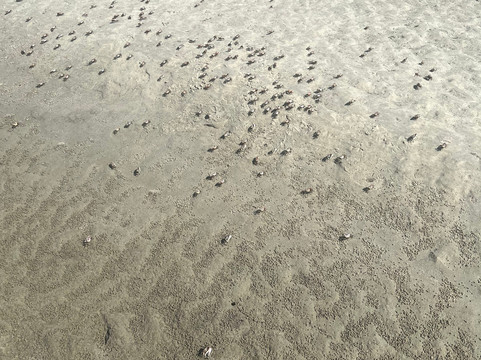 Southern Shores Cruises-美特尔海滩必去景点