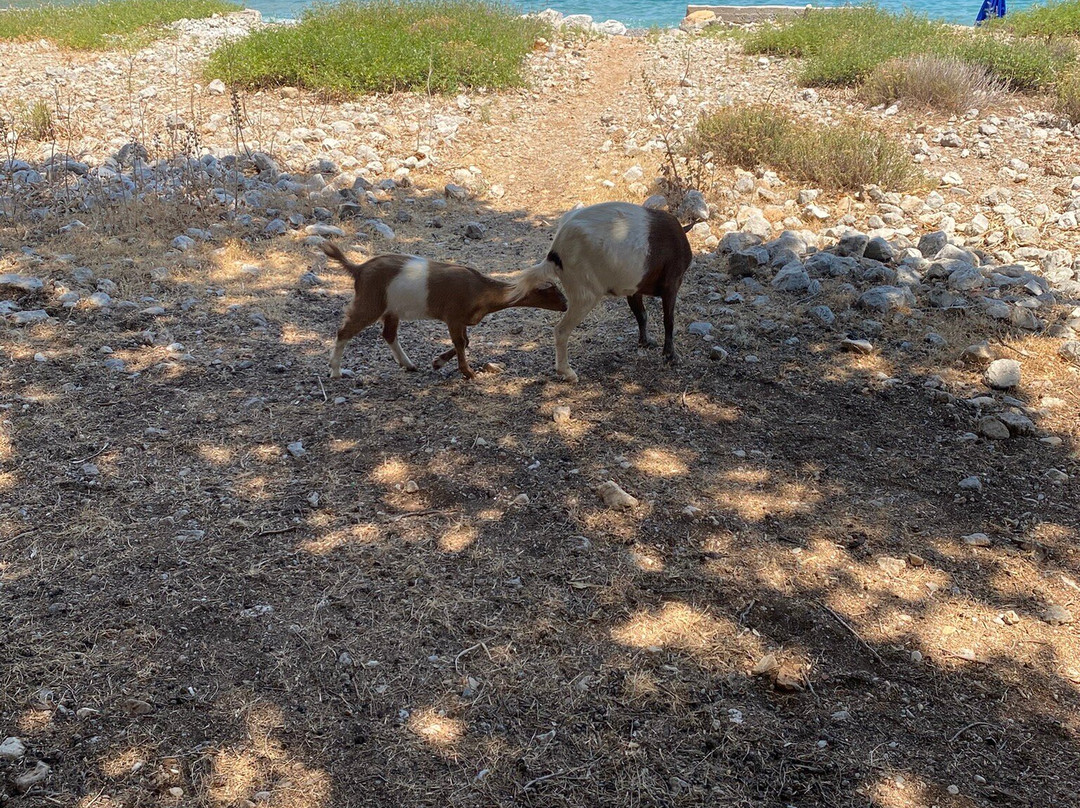 Nanou Beach-Symi必去景点