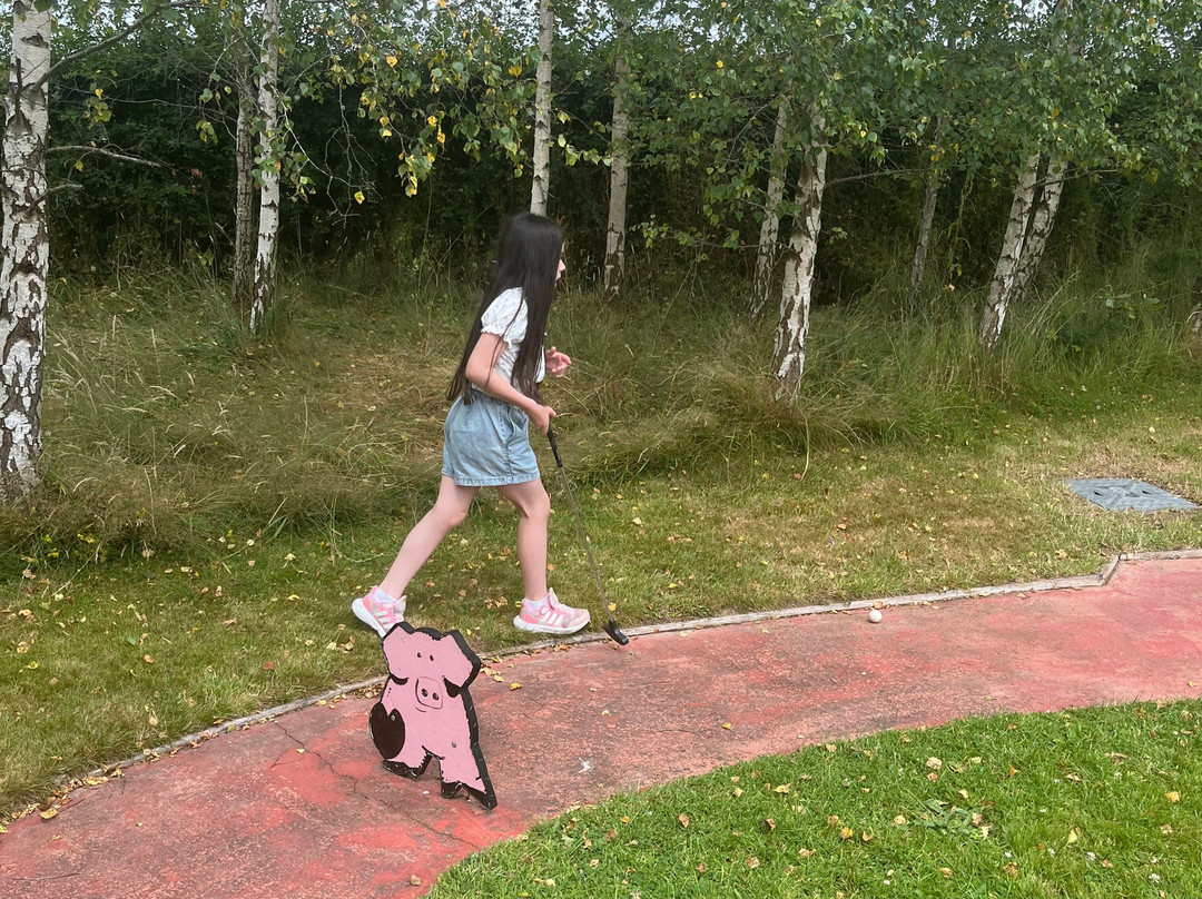 Mollie Moo's Pet Farm-Mullingar必去景点