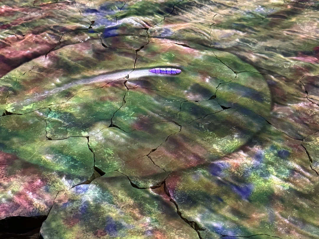 Lake Eyre Tours-阿德莱德必去景点