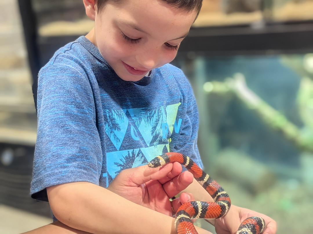 The Biblical Museum of Natural History-Beit Shemesh必去景点