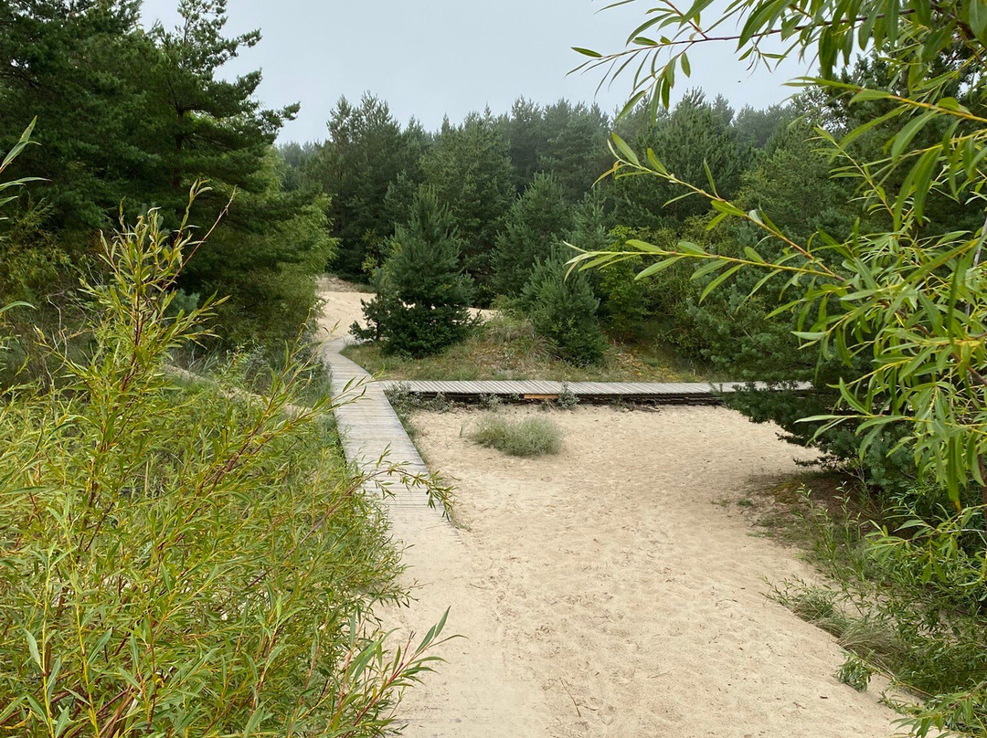 Palanga Beach-帕兰加必去景点