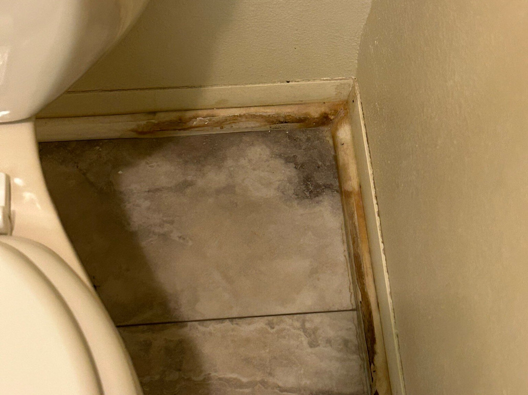 Badlands Hotel and Campground主图