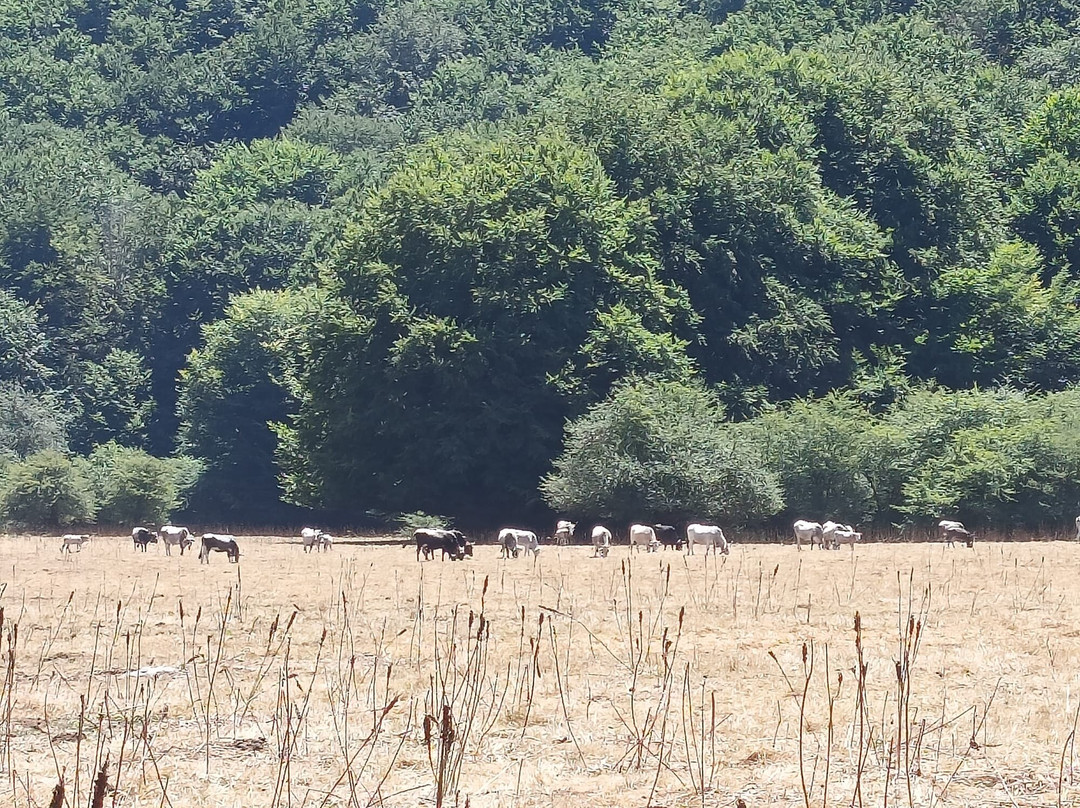 Cartotrekking-阿杰罗拉必去景点