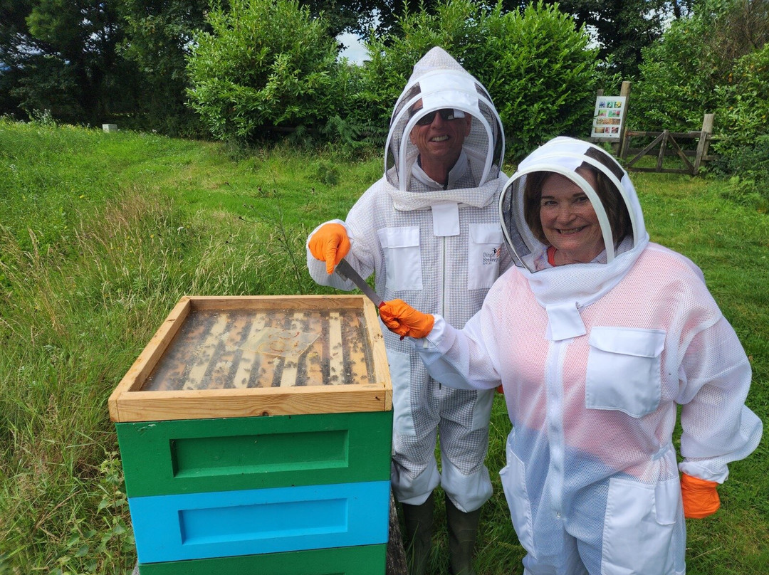 Killarney Bee Walks and Honey-基拉尼必去景点