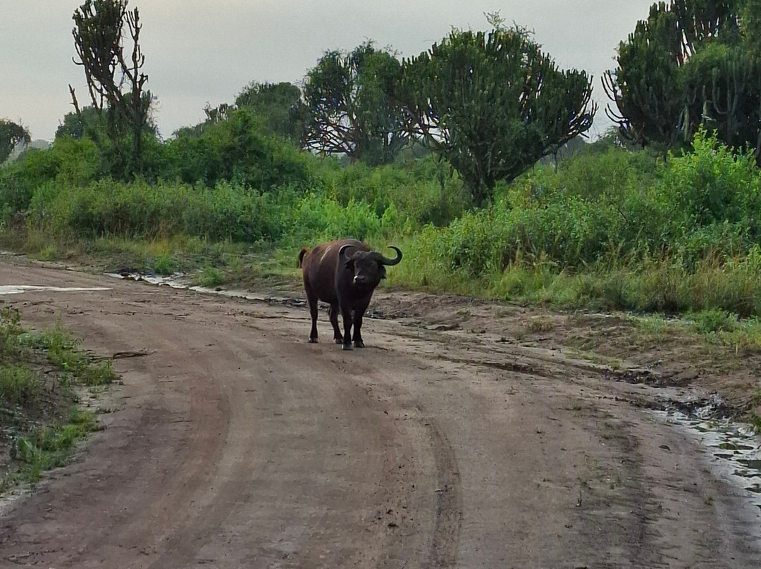 Gracious Tours & Travel-坎帕拉必去景点