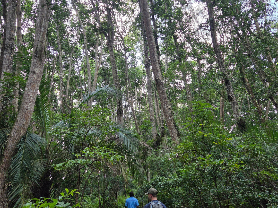 UROA SMILE TOURS-乌罗阿必去景点