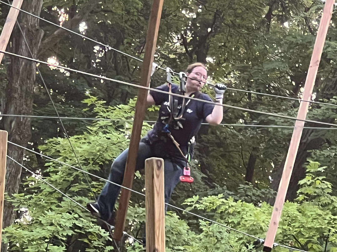TreeRunner Grand Rapids Adventure Park-大急流市必去景点