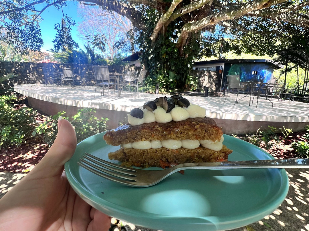 Esfera Espacio Holístico