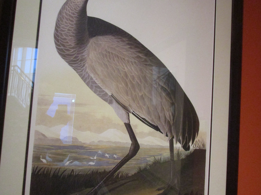 National Sporting Library & Museum-Middleburg必去景点