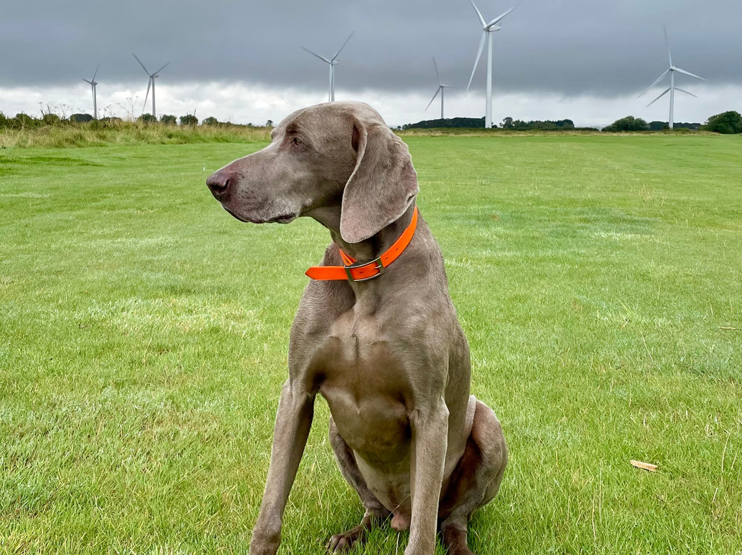 Haddonstone Show Gardens-East Haddon必去景点