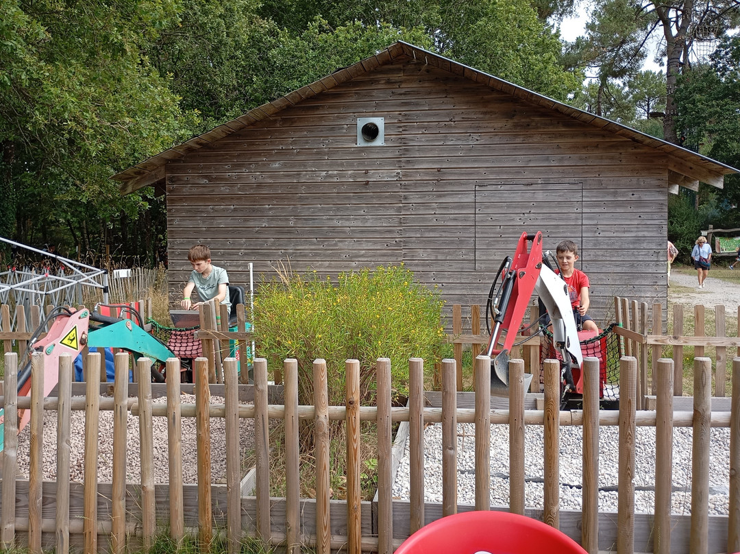 Monkey Forest-Saint-Molf必去景点