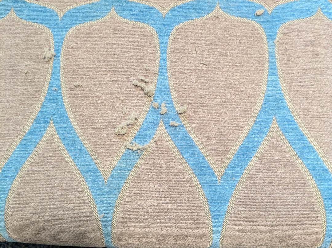 Travelodge Ringwood主图