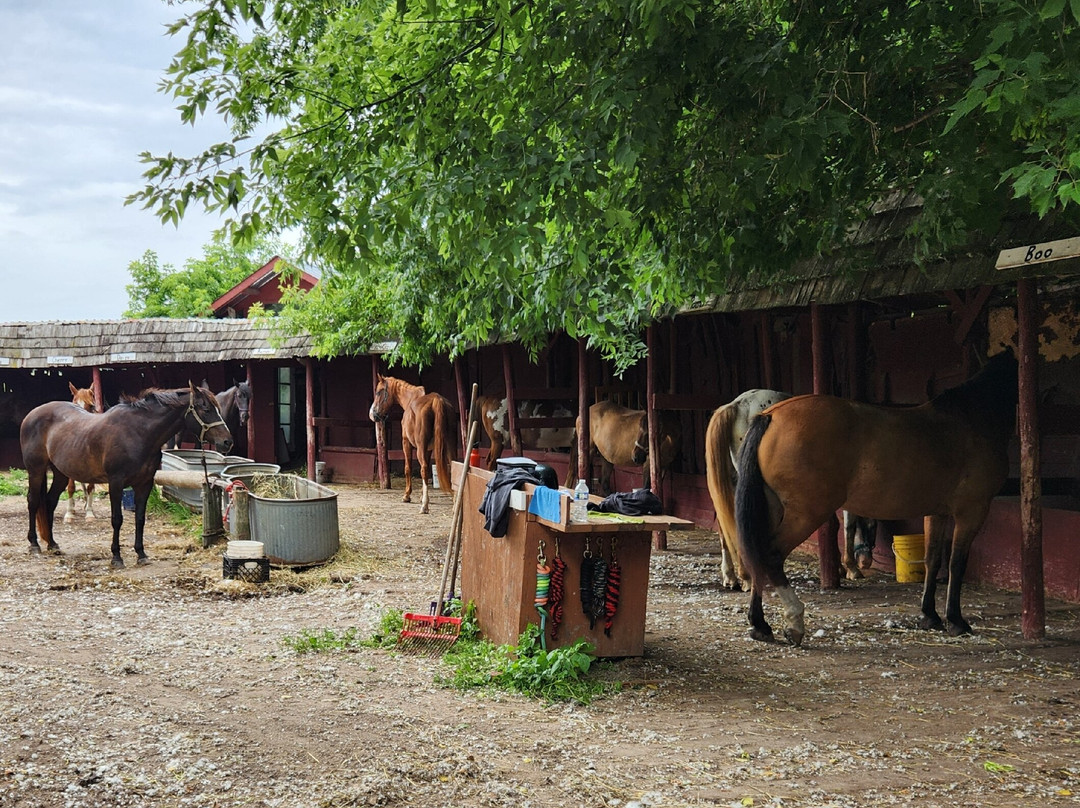 Kurtz Corral-斯特金贝必去景点