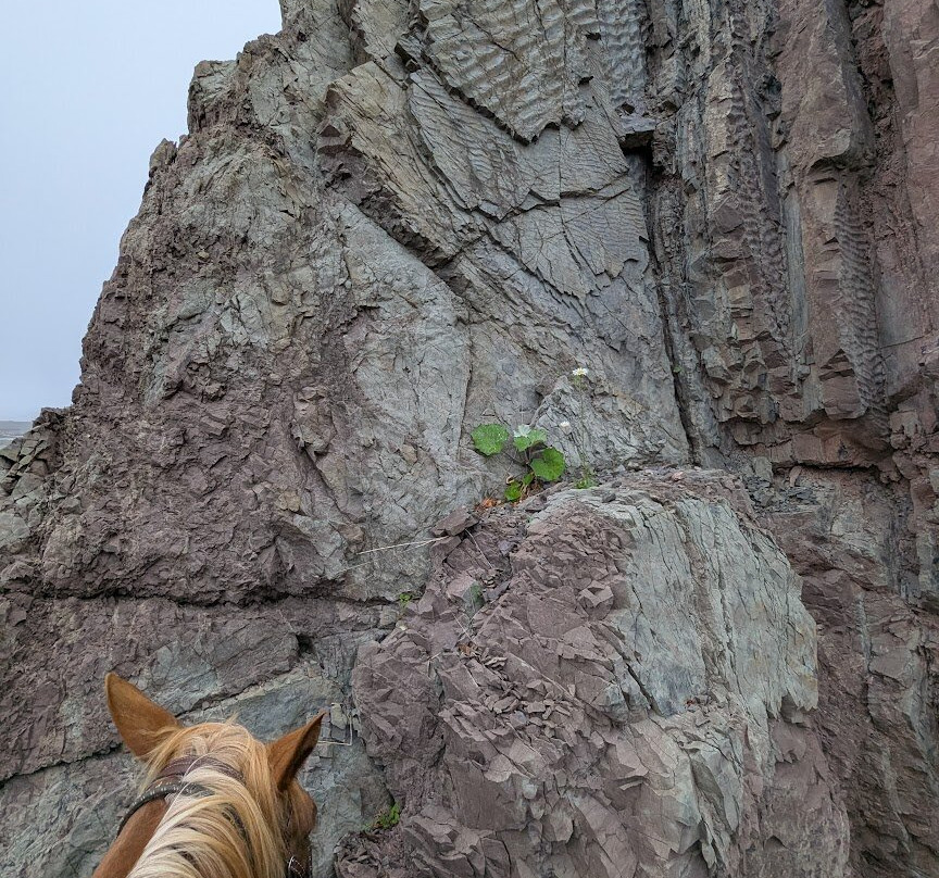 Spirit Reins Ranch-Parrsboro必去景点