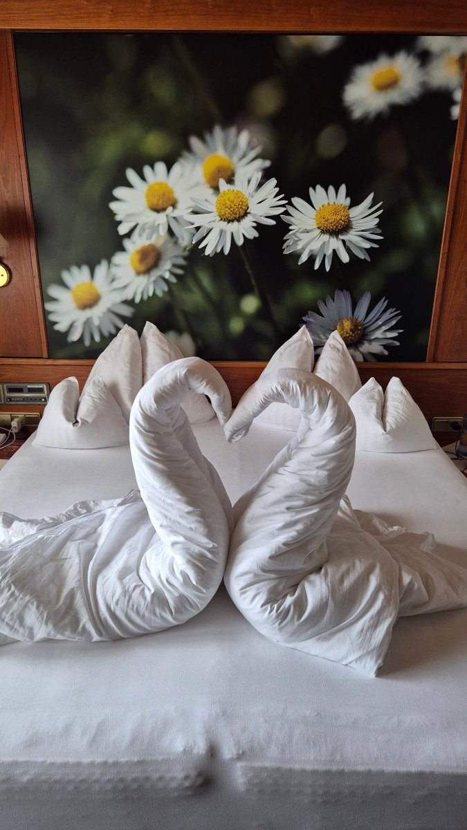 Gardenhotel Crystal-客卧