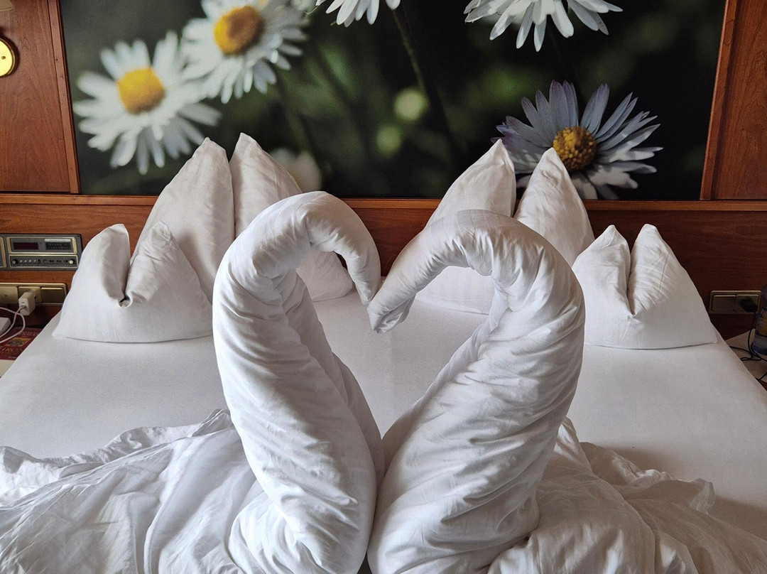 Gardenhotel Crystal主图