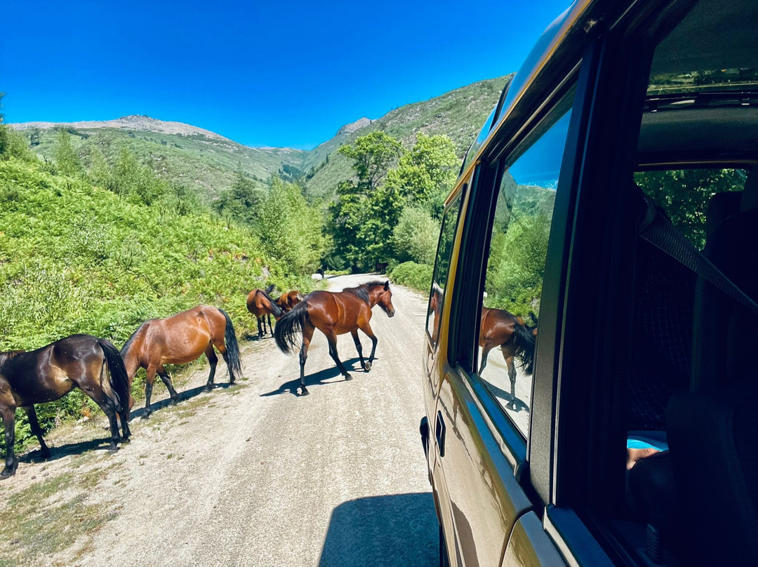 North Land - Mountain Experiences-Arcos de Valdevez必去景点