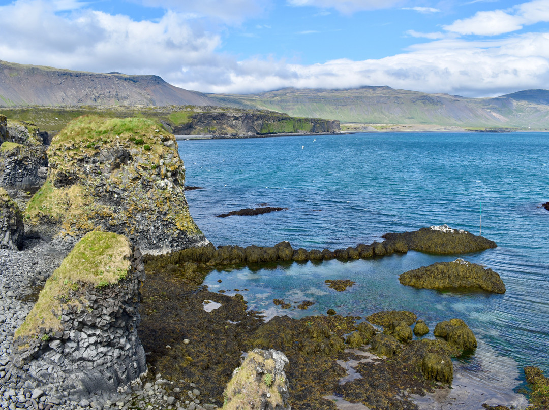 Arnarstapi Cliff-Arnarstapi必去景点