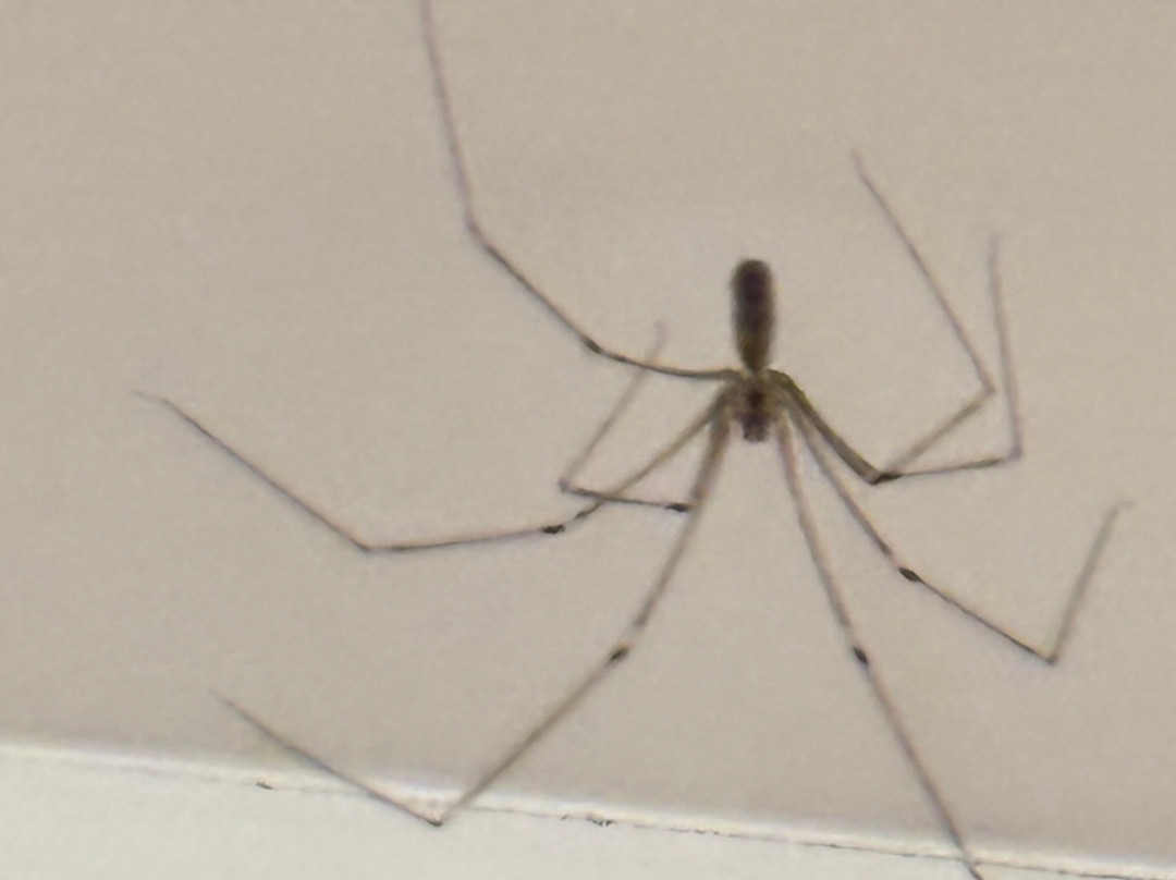 格林豪斯酒店主图