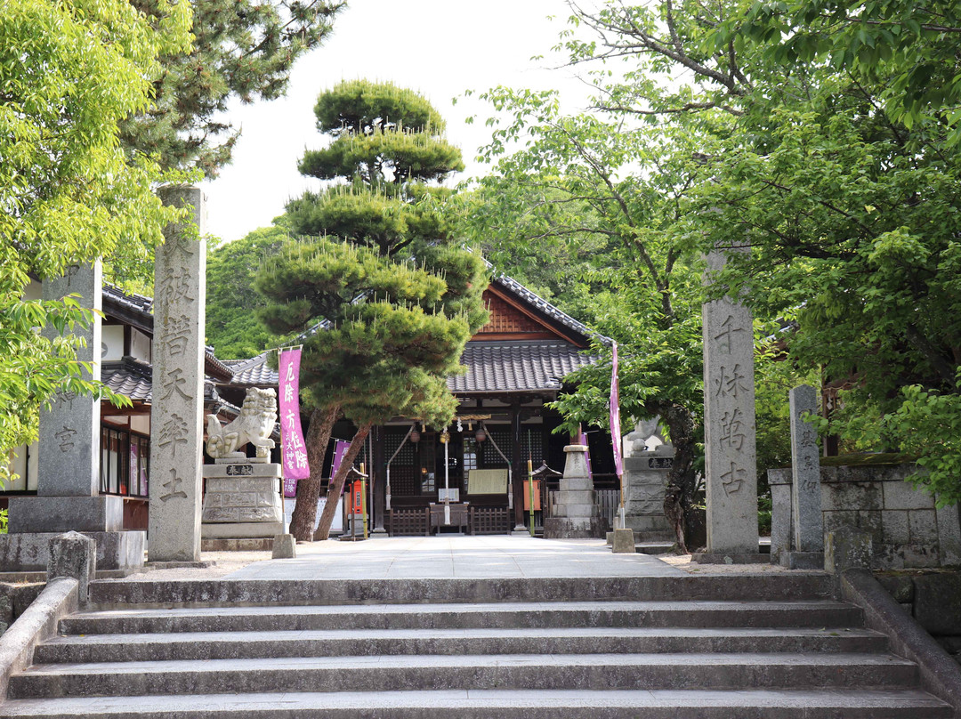 Nakatsu Grand Shrine-中津市必去景点