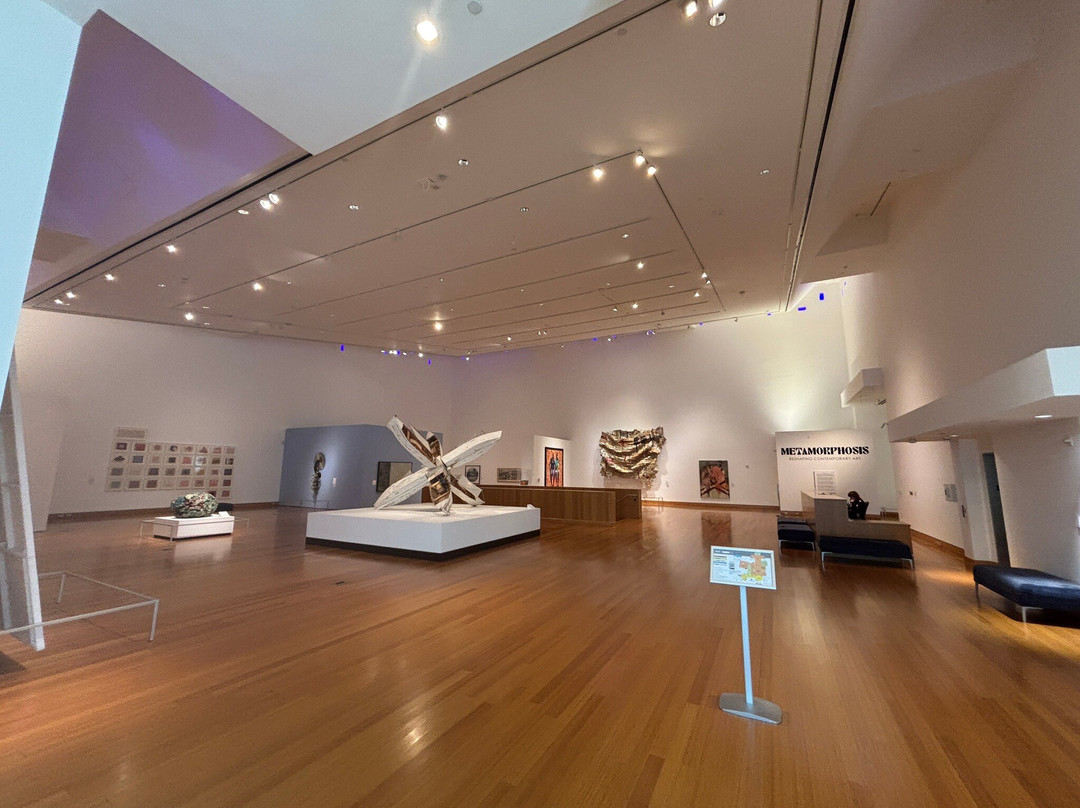 Harn Museum Of Art-盖恩斯维尔必去景点