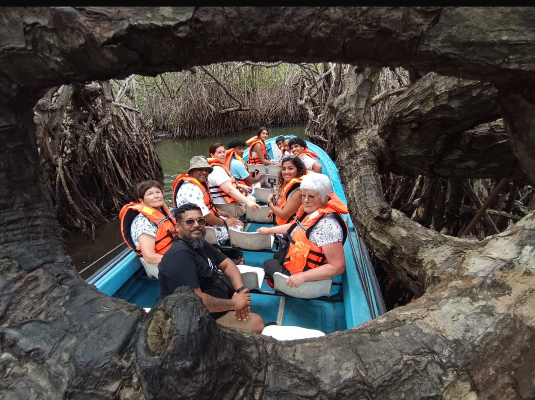 Sura Tours & Travels-卡图纳耶克必去景点