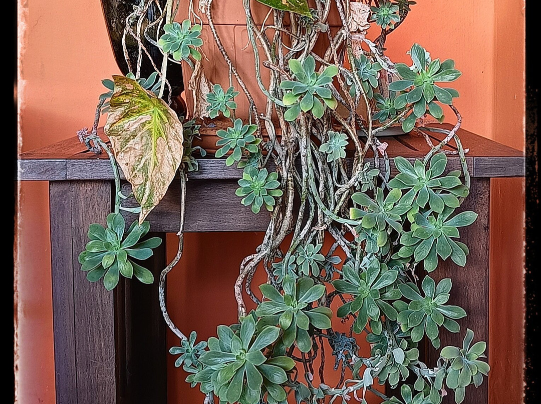 B&b Al Chiaro Di Luna主图