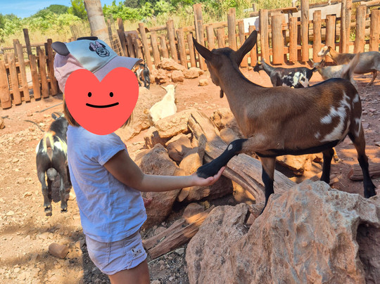 ZooParc du Cannet des Maures-Le Cannet-des-Maures必去景点