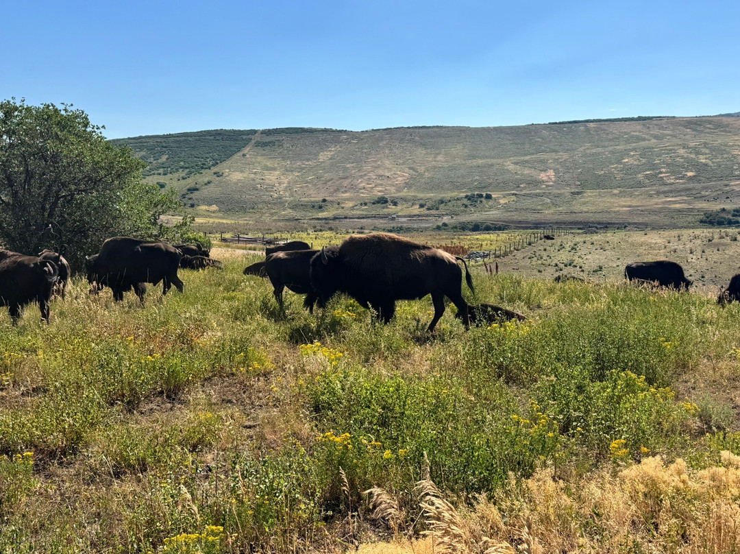Lucky 8 Ranch-Oak Creek必去景点