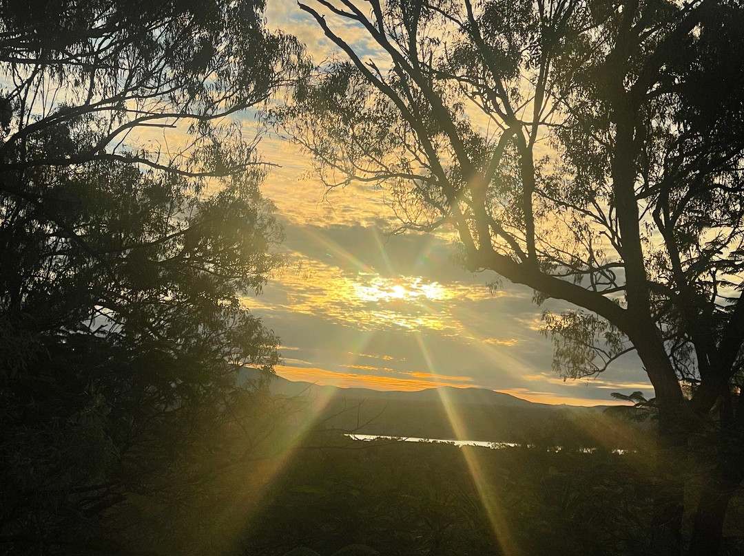 Horizons Kangaroo Sanctuary & Camp Ground-Agnes Water必去景点