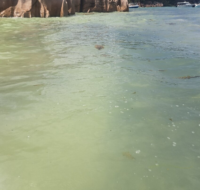 Praslin: Curieuse & St Pierre Island Day Trip with Barbecue-Curieuse Island必去景点