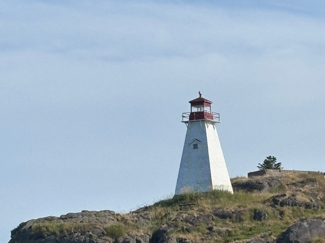 Adventure Bay Whale Watch Co.-Tiverton必去景点