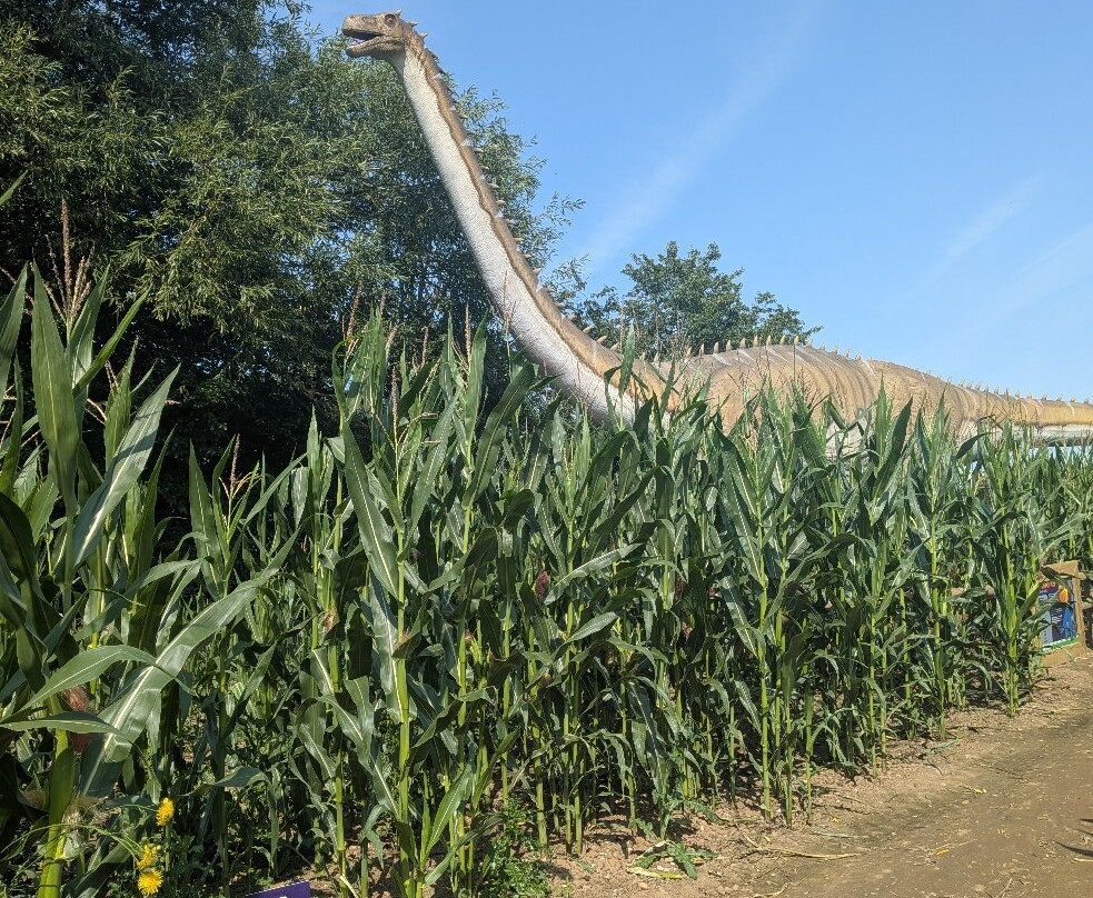 Fantasy Farm-Heather必去景点