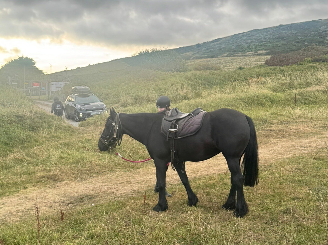 Mullacott Equestrian Centre-伊尔弗勒科姆必去景点