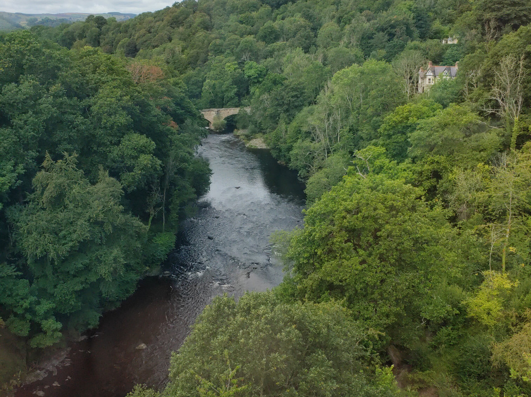 Anglo Welsh Dayboat Hire-Trevor必去景点