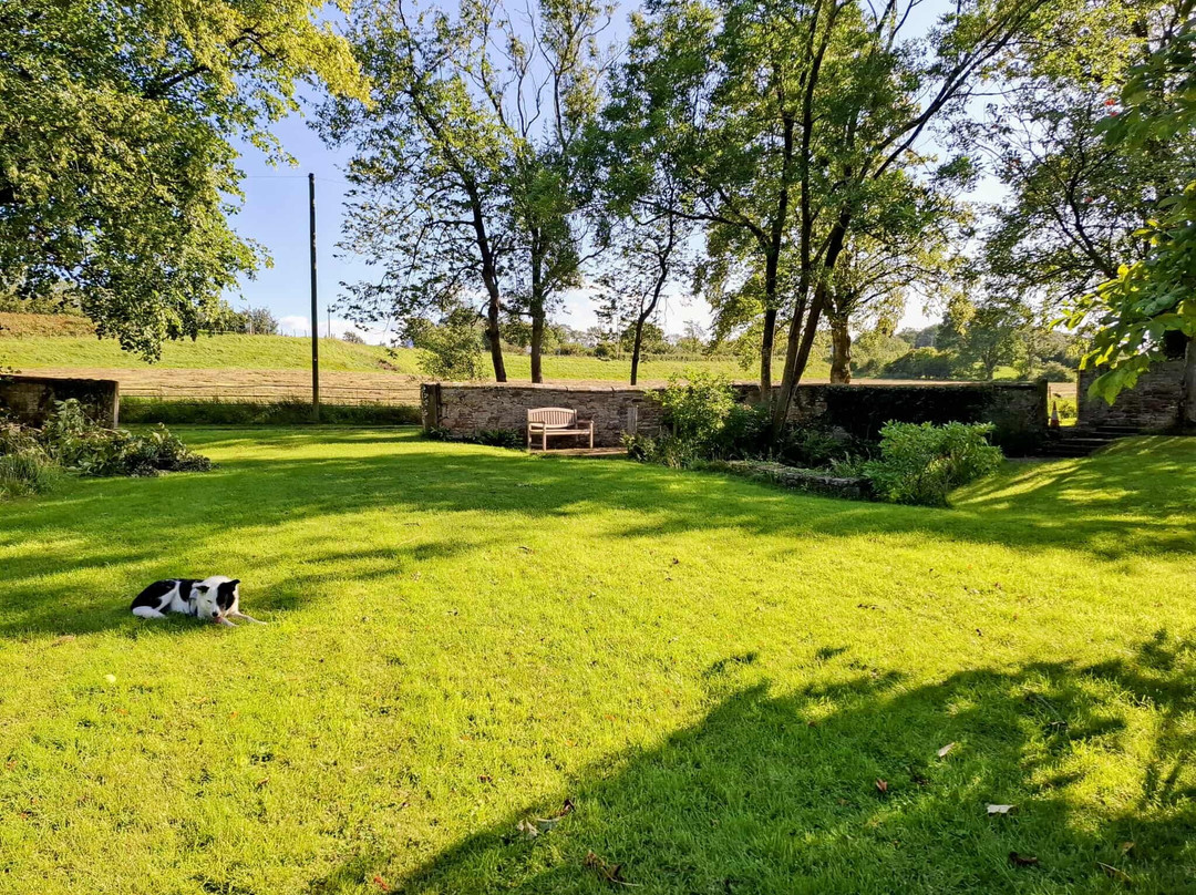 Fiddleback Farm主图