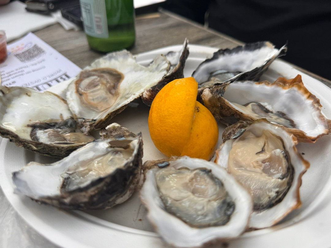 Blue Lagoon Oysters