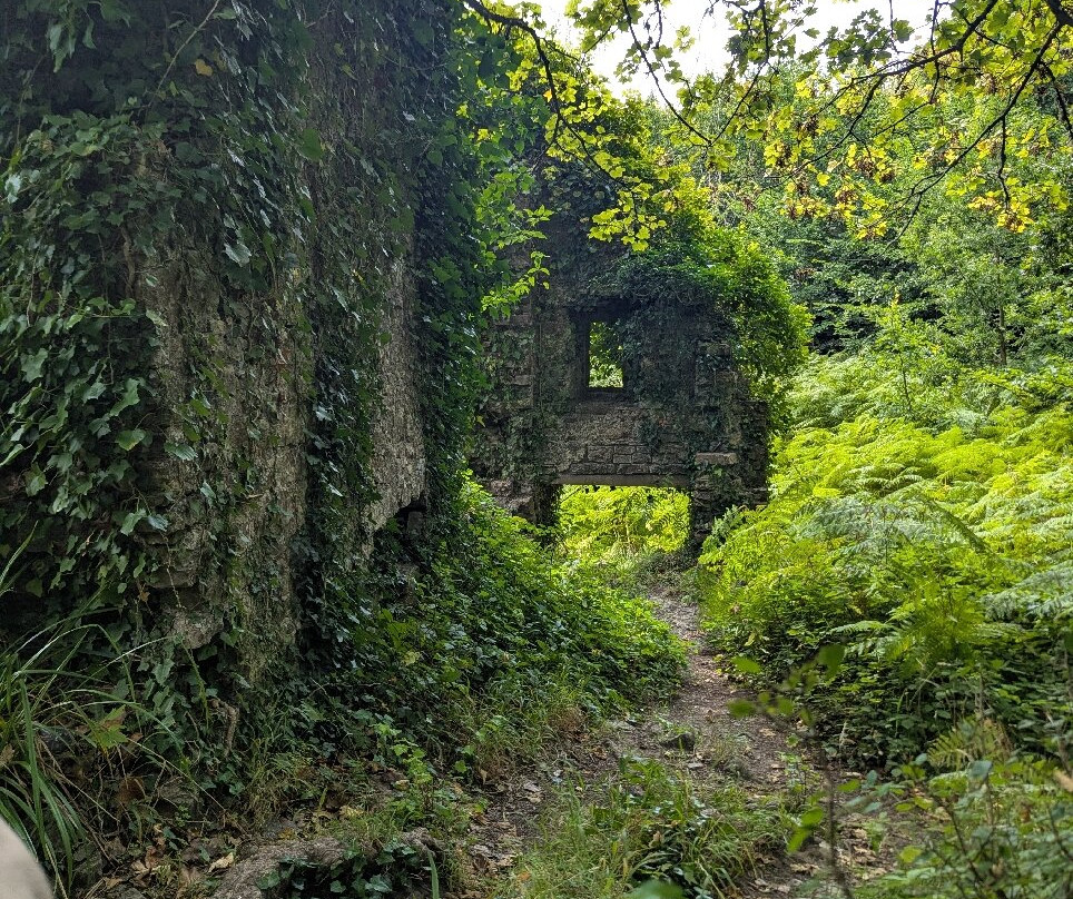 Merthyr Mawr Sand Dunes-布里真德必去景点