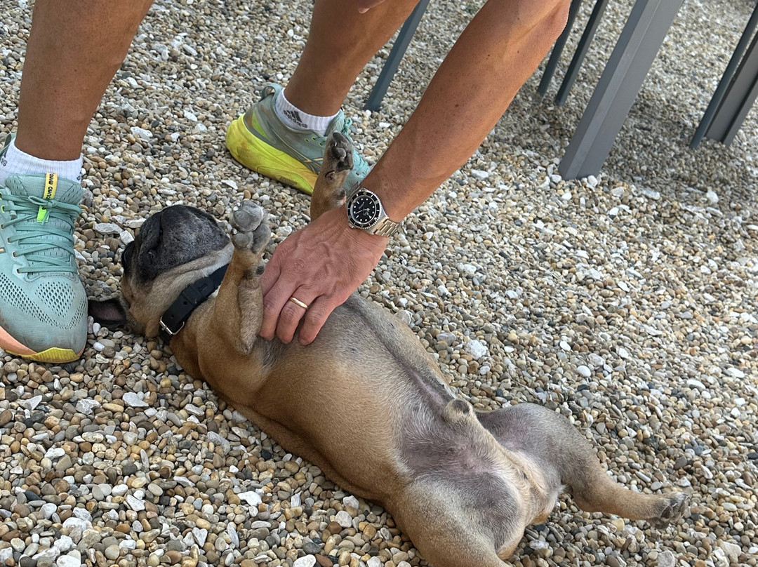 Mas aux Cedres主图