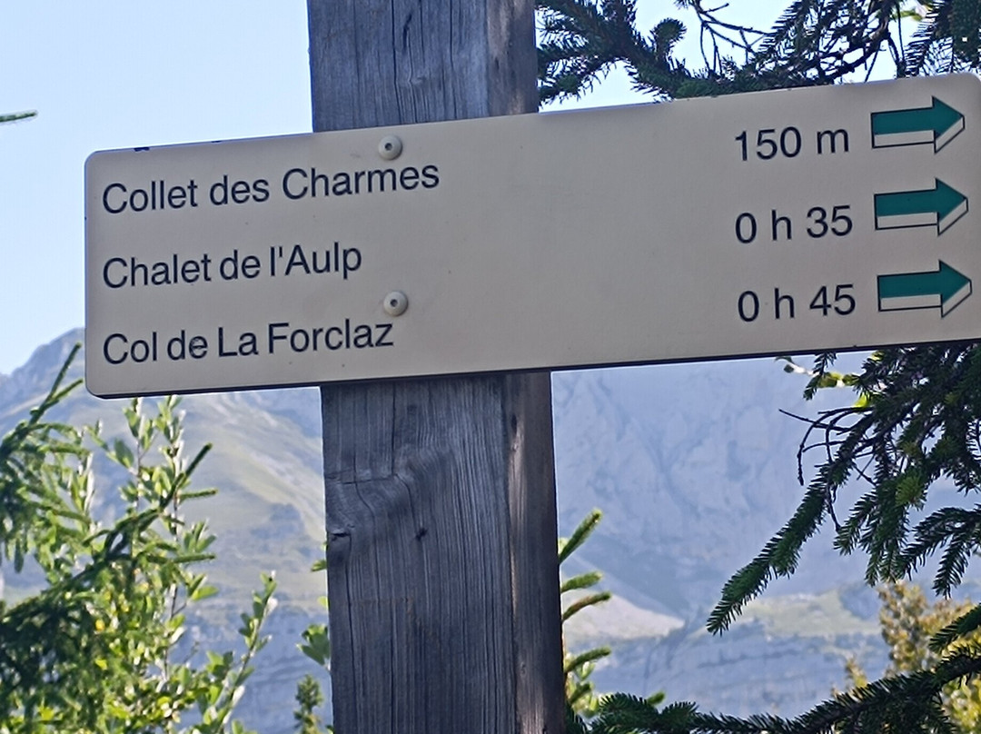 Le Col De La Forciaz-塔卢瓦尔必去景点