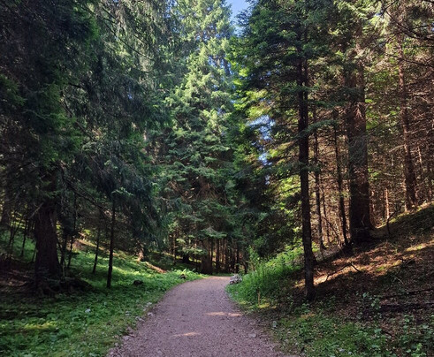 Mega Bugs-安达洛必去景点