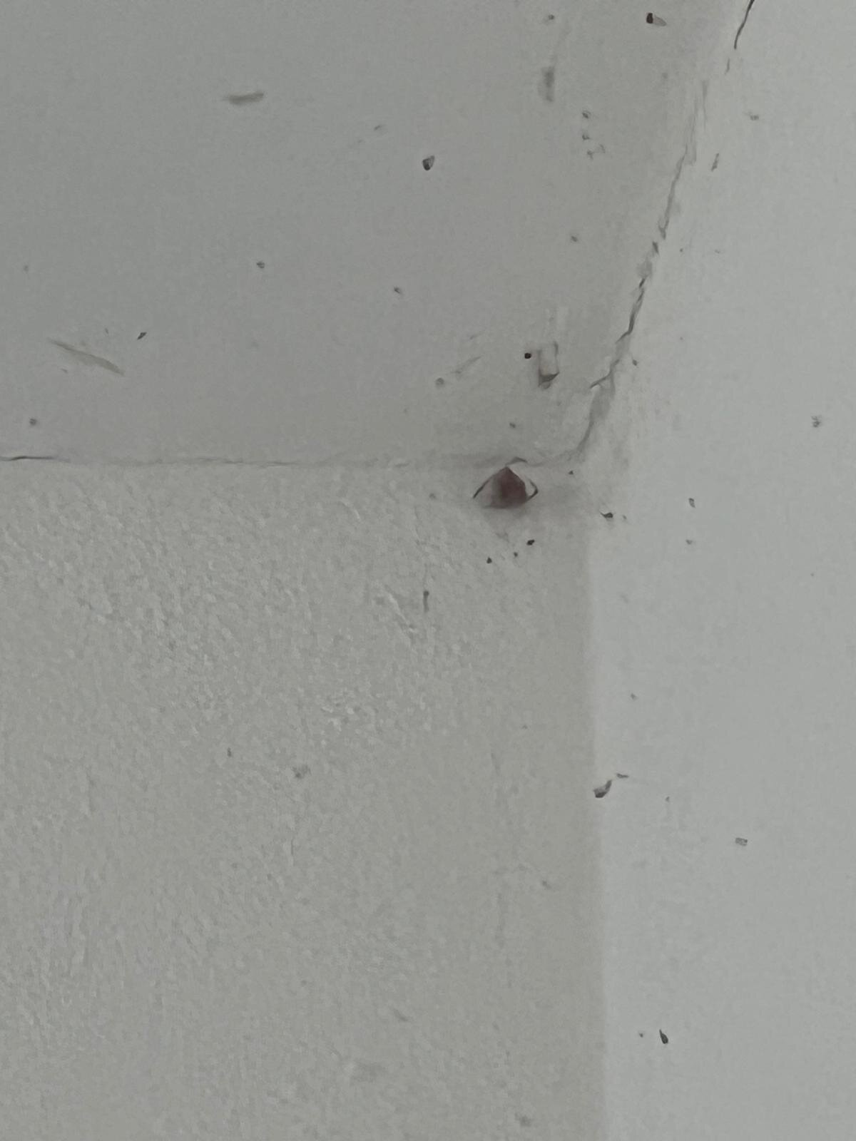 Hotel ChiemseePanorama-官方